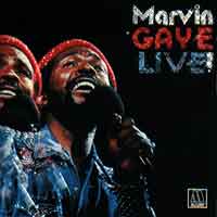 marvin3.jpg