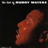 muddywaters.jpg